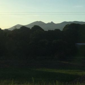 Meet your Posher, Adan